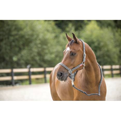 Horze Cooper Halter with Lead Rope