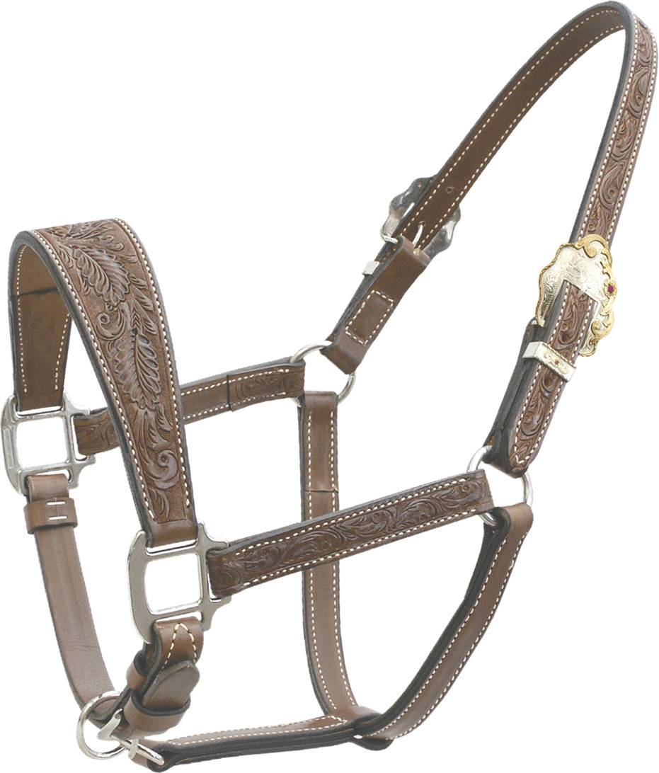 Cowboy Pro Floral Tooled Show Halter with Wide Noseband