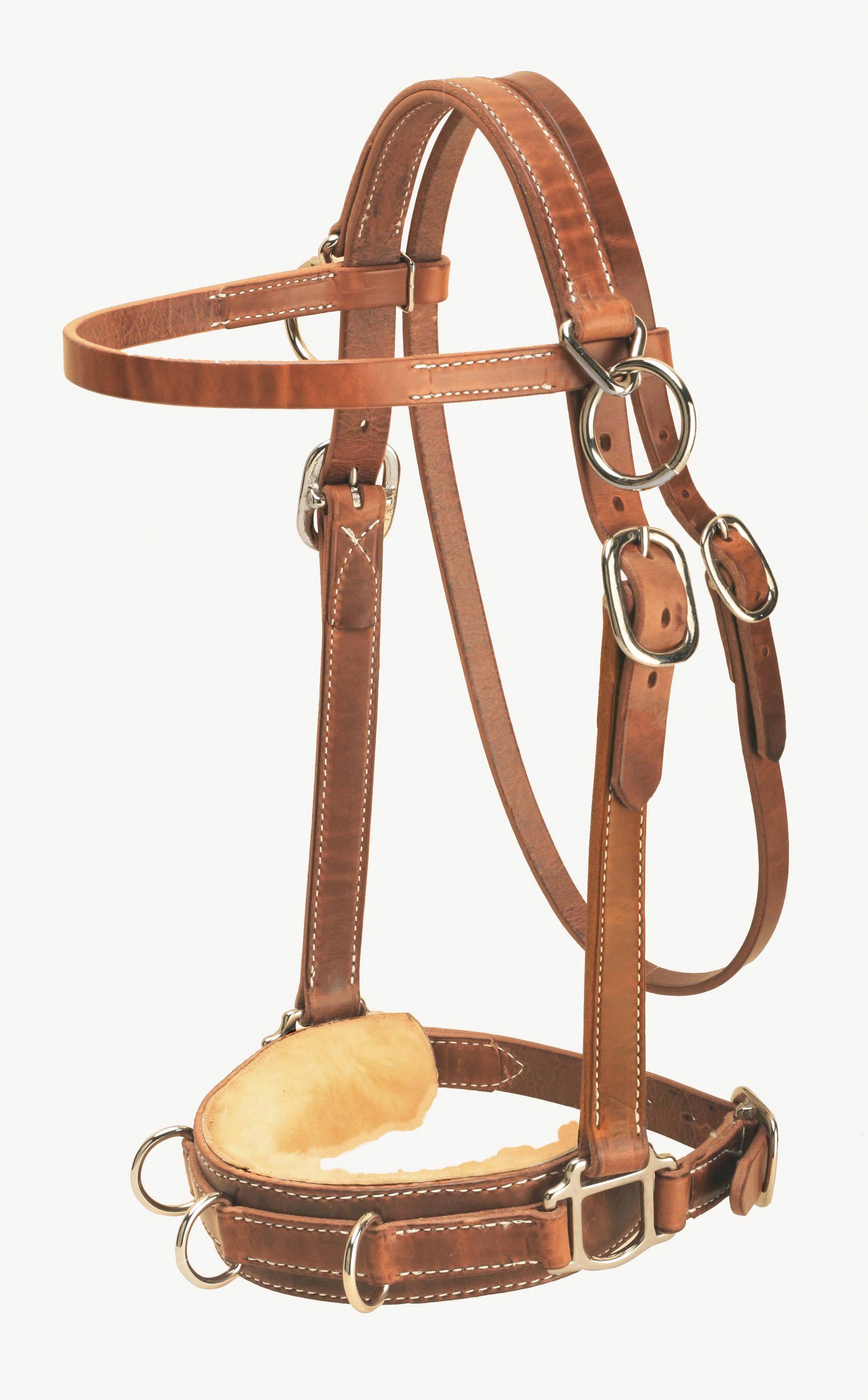 Tory Leather Heavy Duty Harness Leather Lunge Caveson