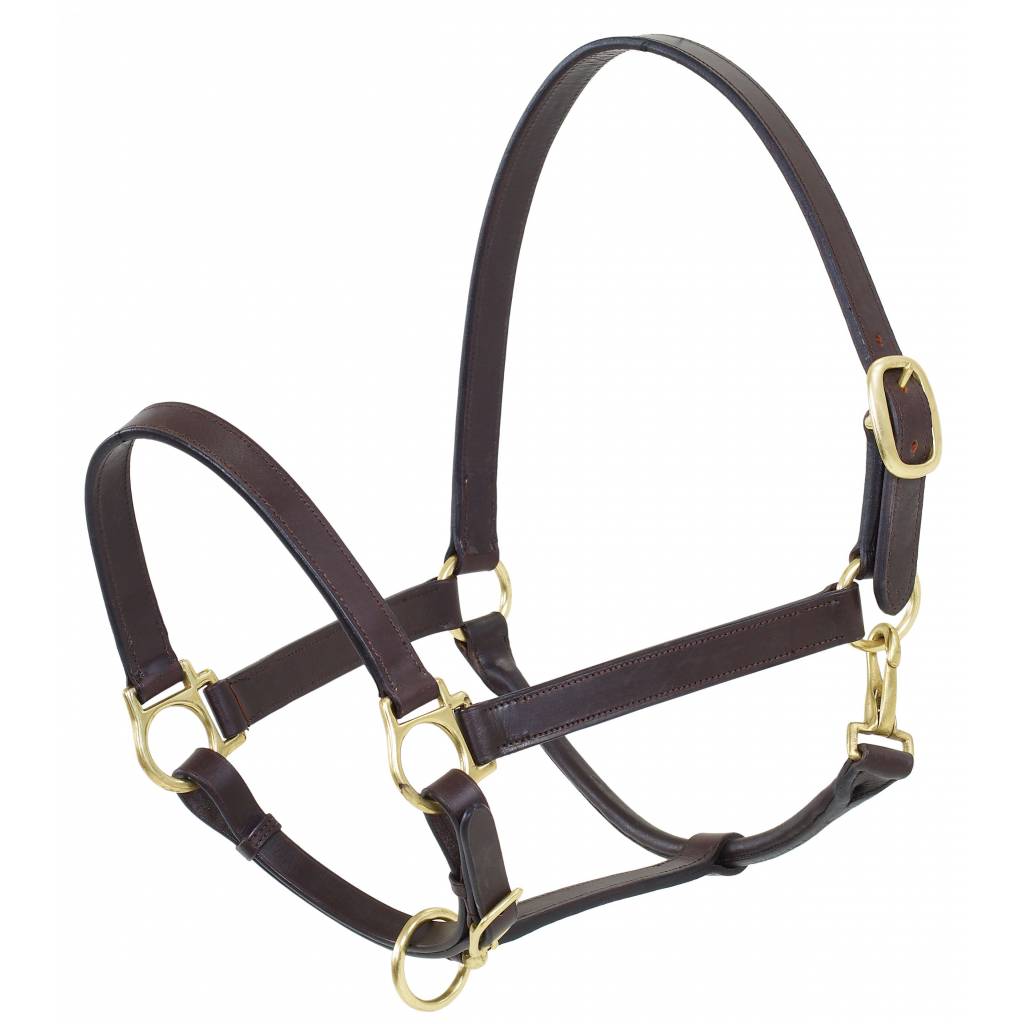 Camelot Stable Halter