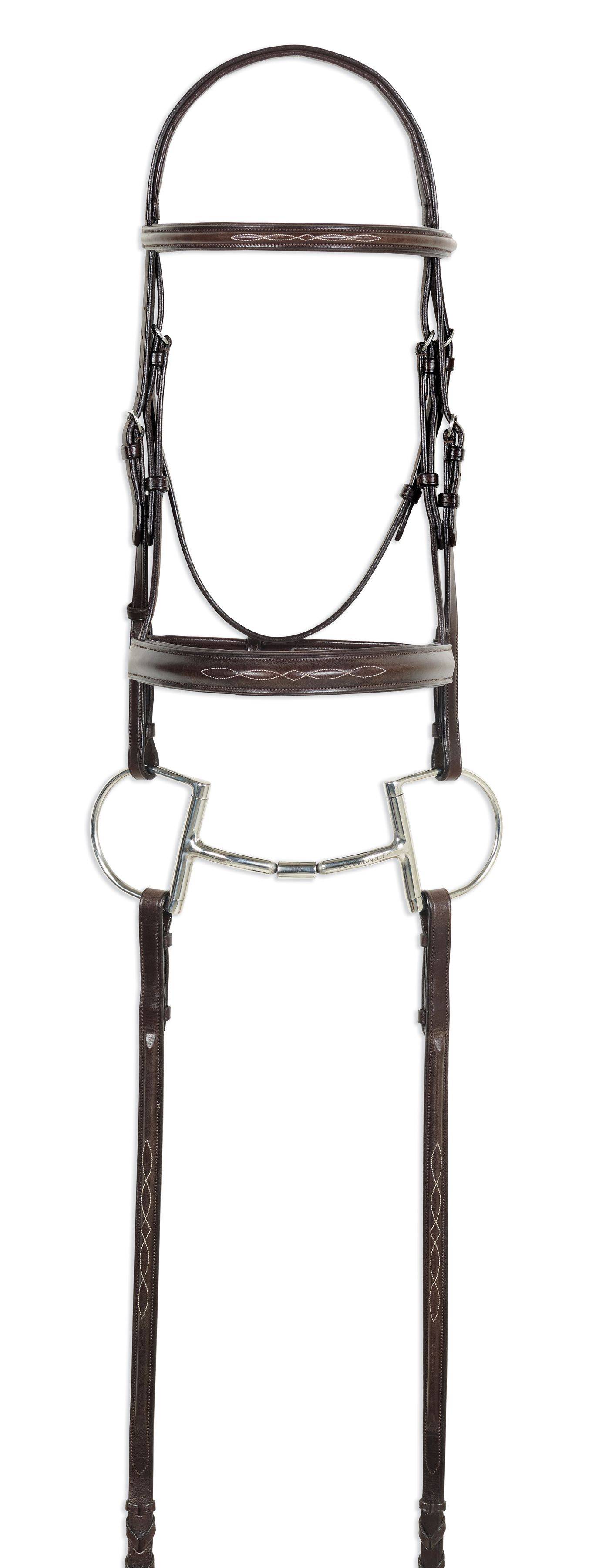 Ovation Fancy Stitched Raised Padded Bridle with Reins