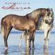 Happiness is a Horse Calendar - 2016