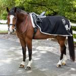 Saratoga Horseworks Blankets, Sheets & Coolers