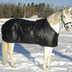 Saratoga Horseworks Blankets, Sheets & Coolers