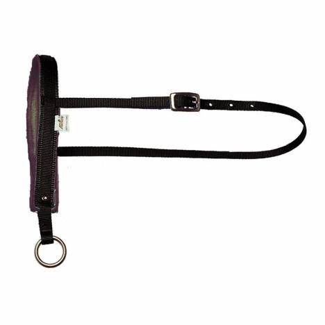 Fabtron Nylon Noseband with Black Felt