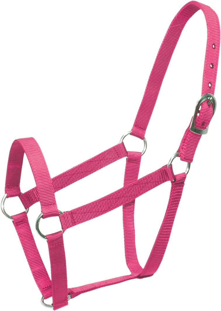 Abetta Nylon Web Halter