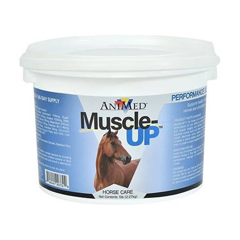 AniMed Muscle-Up Supplement For Horses