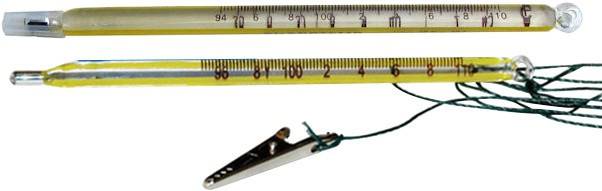 Mercury Free Thermometer