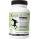 Response Cetyl M Regular Joint Action For Dog