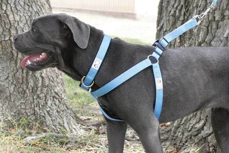 soft touch dog harness