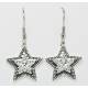 Western Edge Jewelry Crystal Star Earrings