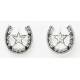 Western Edge Jewelry Star & Horseshoe Earrings