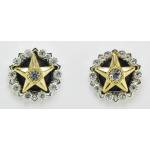 Western Edge Jewelry Crystal Center Star Earrings