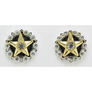 Western Edge Jewelry Crystal Center Star Earrings