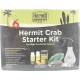 FLUKER'S Hermit Headquarters Hemit Crab Starter Kit