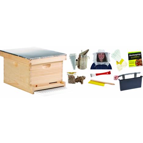 Little Giant Deluxe Beginner Hive Kit