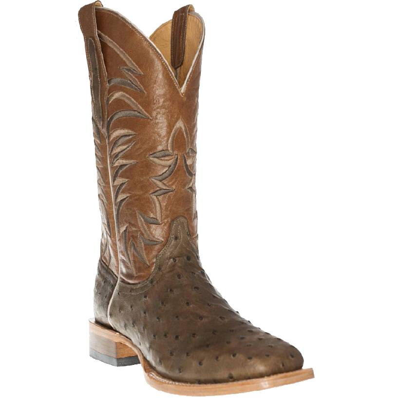 Cinch 2025 ostrich boots