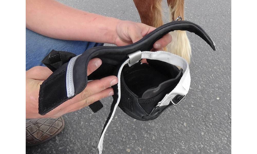 Easycare New Mac Horse Boot HorseLoverZ