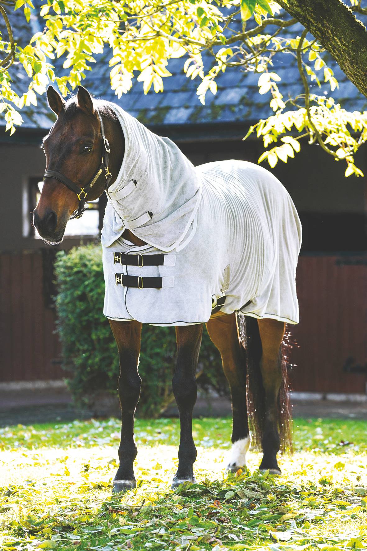 Rambo Dry Rug