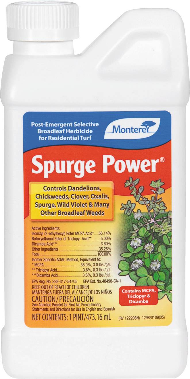 Monterey Spurge Power Concentrate