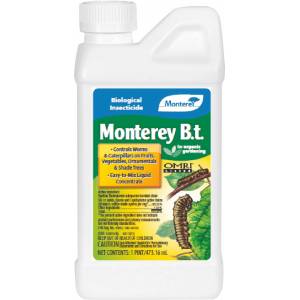 Monterey B.T. Concentrate