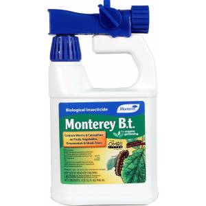Monterey B.T. Ready To Spray