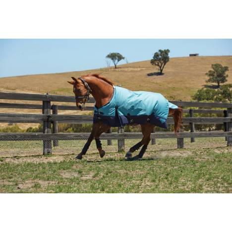 Saxon 1200D Standard Neck Turnout Blanket - Medium Weight