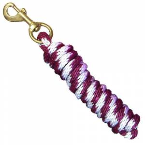 Braided Poly 8' Lead with Solid Brass Snap