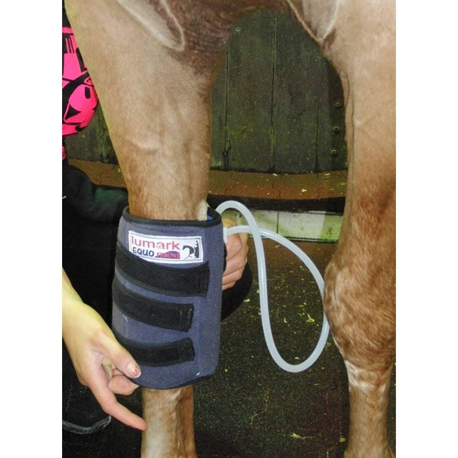 Equomed Knee or Fetlock Compression Boot with Gel Packs