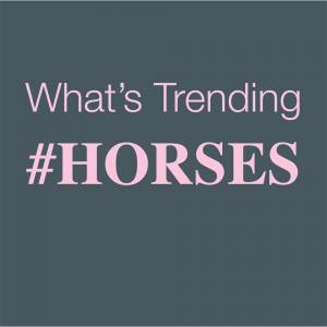Whats Trending #Horses... Tee Shirt