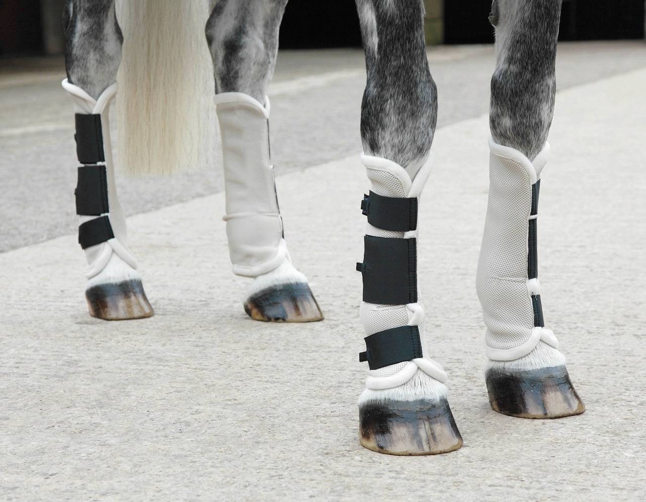 Shires 2024 turnout boots