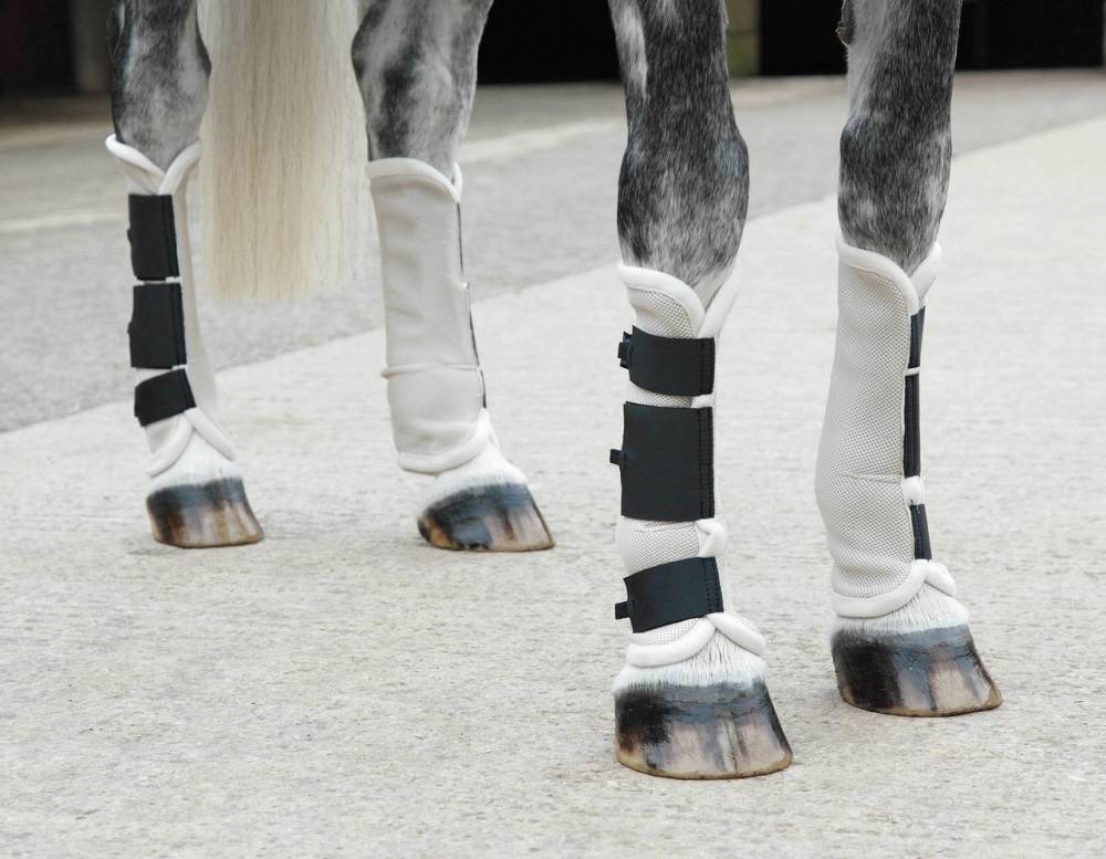Protect Your Horse and Pony with Shires Mud Socks Turnout Boots