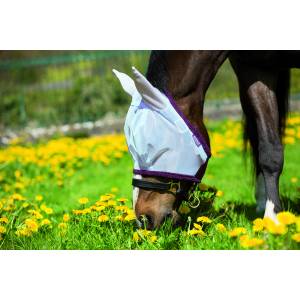 Amigo Finemesh Fly Mask