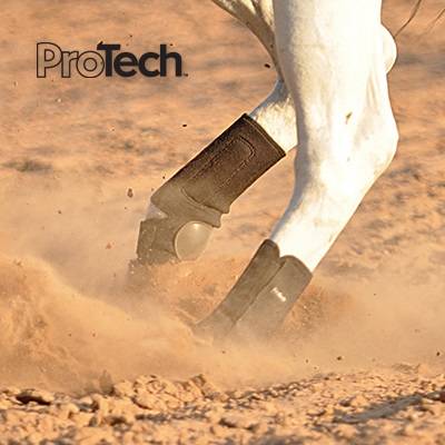 classic equine pro tech boots