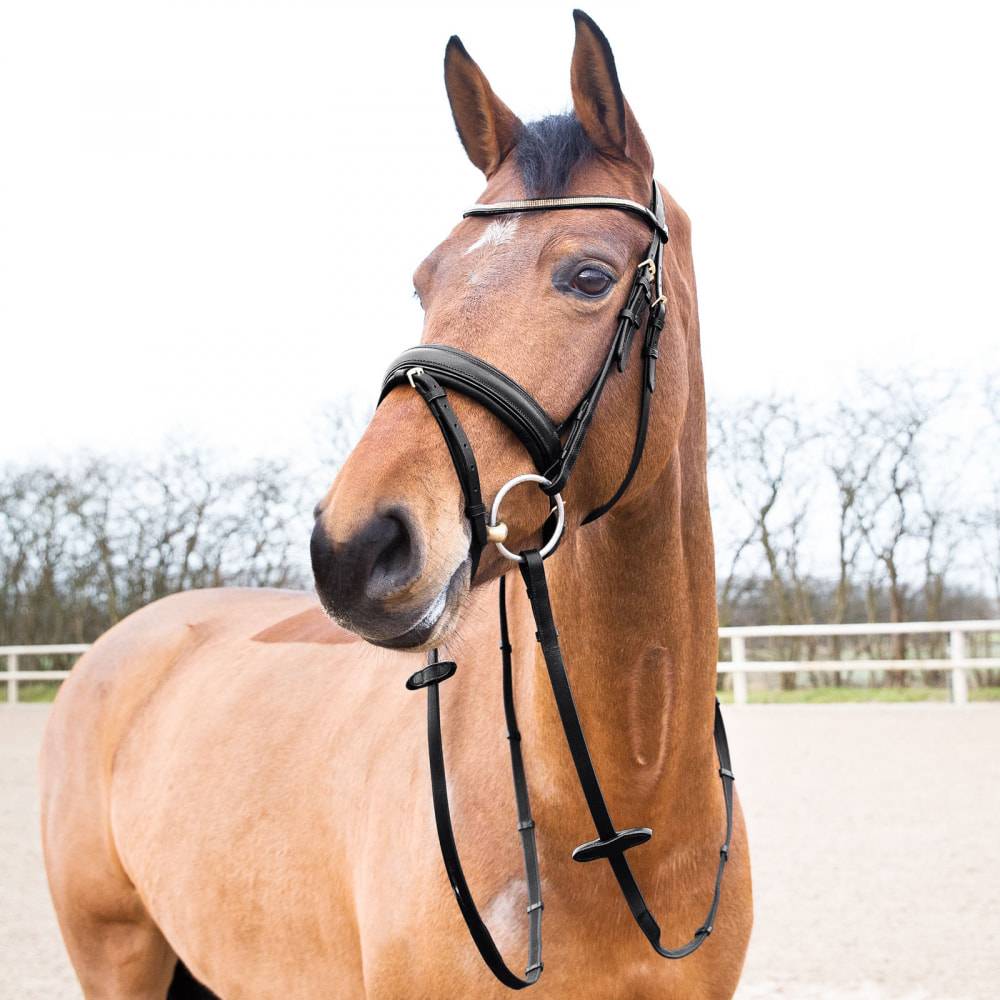 10019-BL-XF Horze Lester Dressage Snaffle Bridle with Reins sku 10019-BL-XF