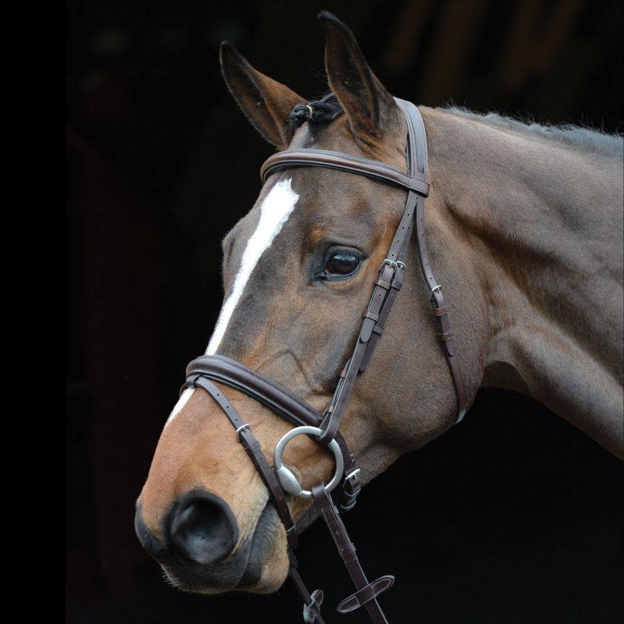 Collegiate Comfort Crown Padded Raised Flash Bridle