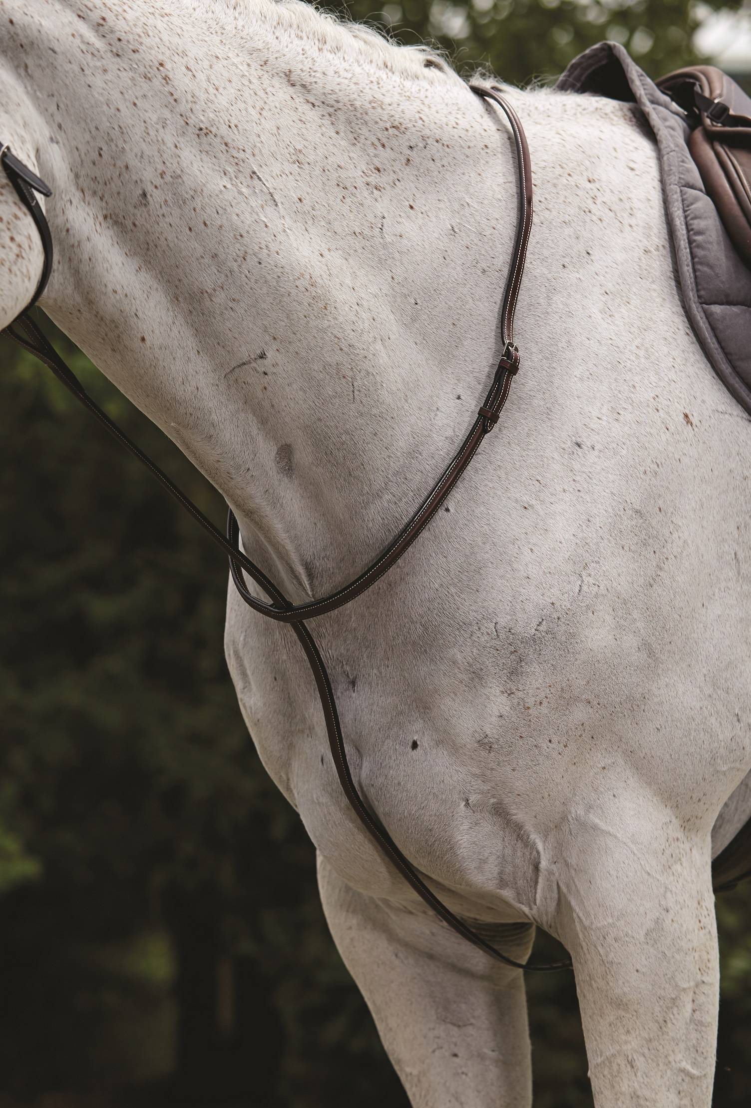 Collegiate Raised Standing Martingale ll