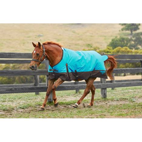 Saxon 1200D Standard Neck Heavy Turnout Blanket With Gusset ll