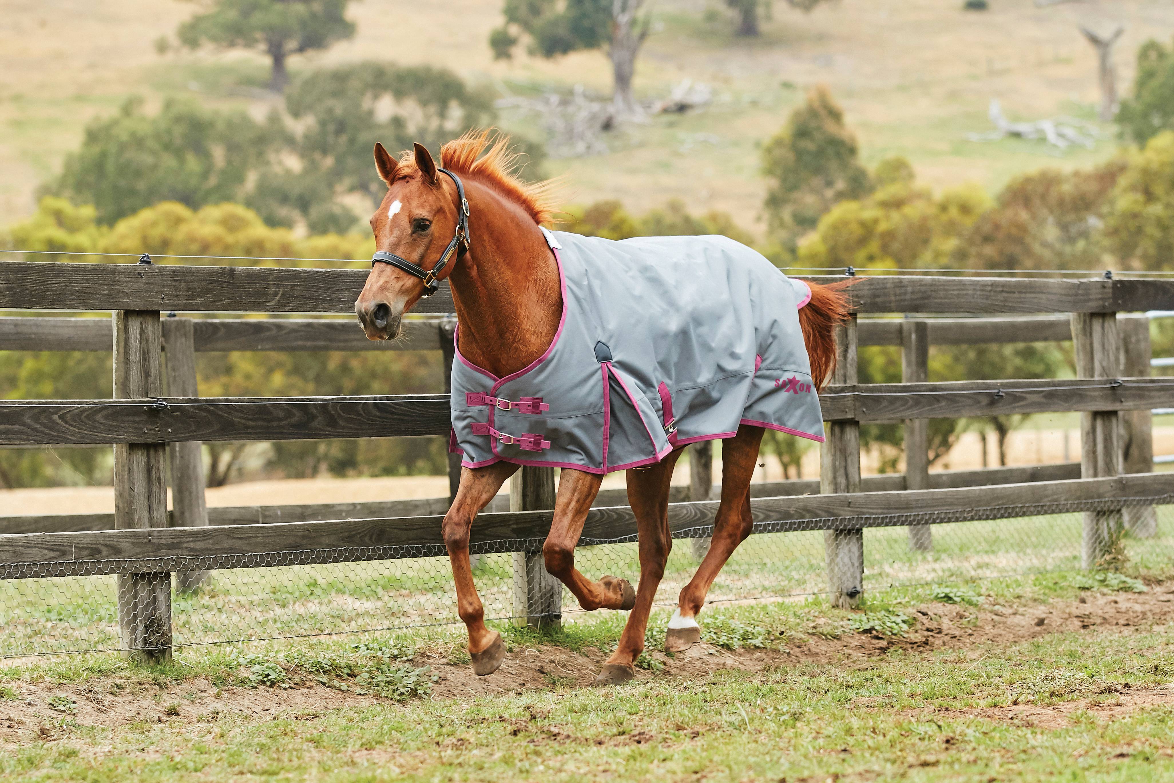 801868 Saxon 1200D Standard Neck Lite Turnout Blanket Wit