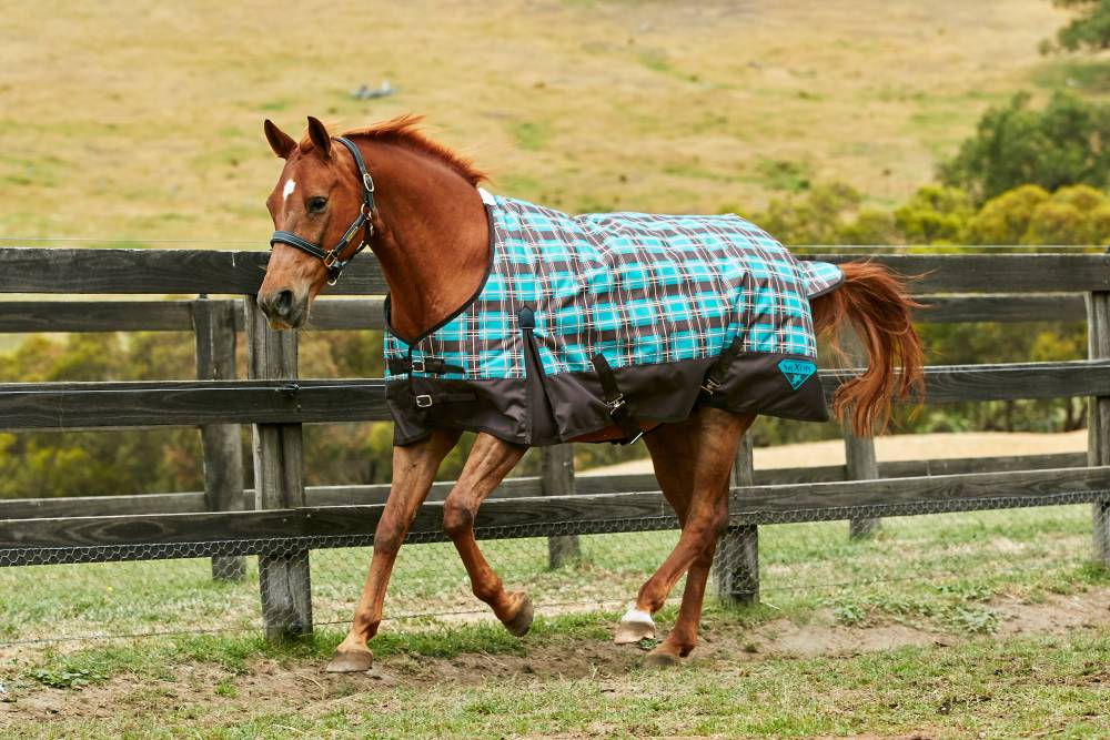 Saxon 1200D Standard Neck Medium Turnout Blanket With Gusset ll