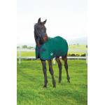 Weatherbeeta 1200D Standard Neck Foal Blanket