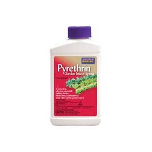 Liquid Pyrethrin Concentrate