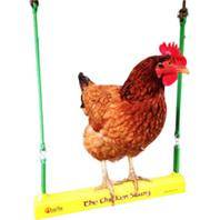 Fowl Play The Chicken Swing