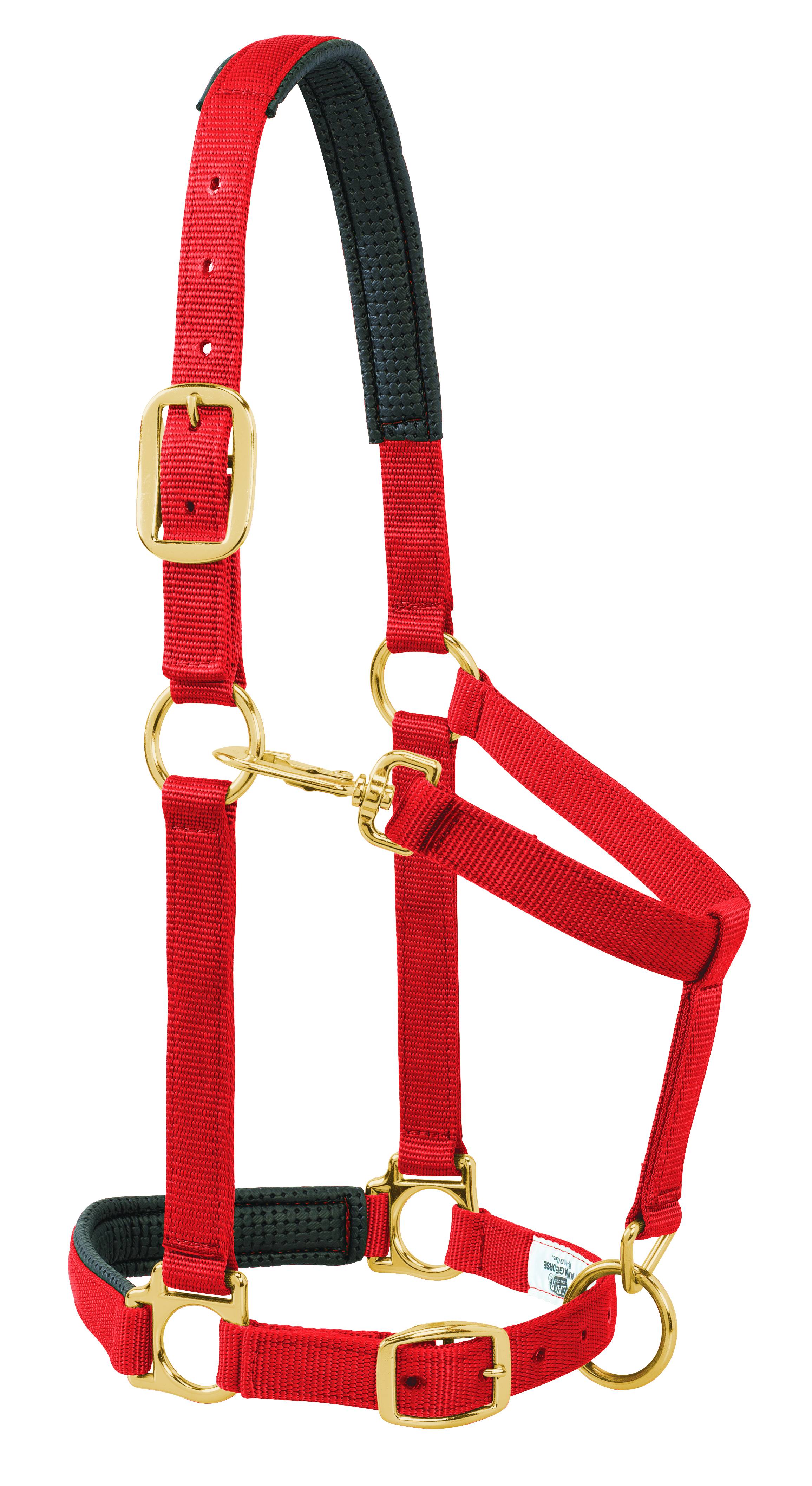 Solid Color Pad Adjust Chin/Throat Snap Halter