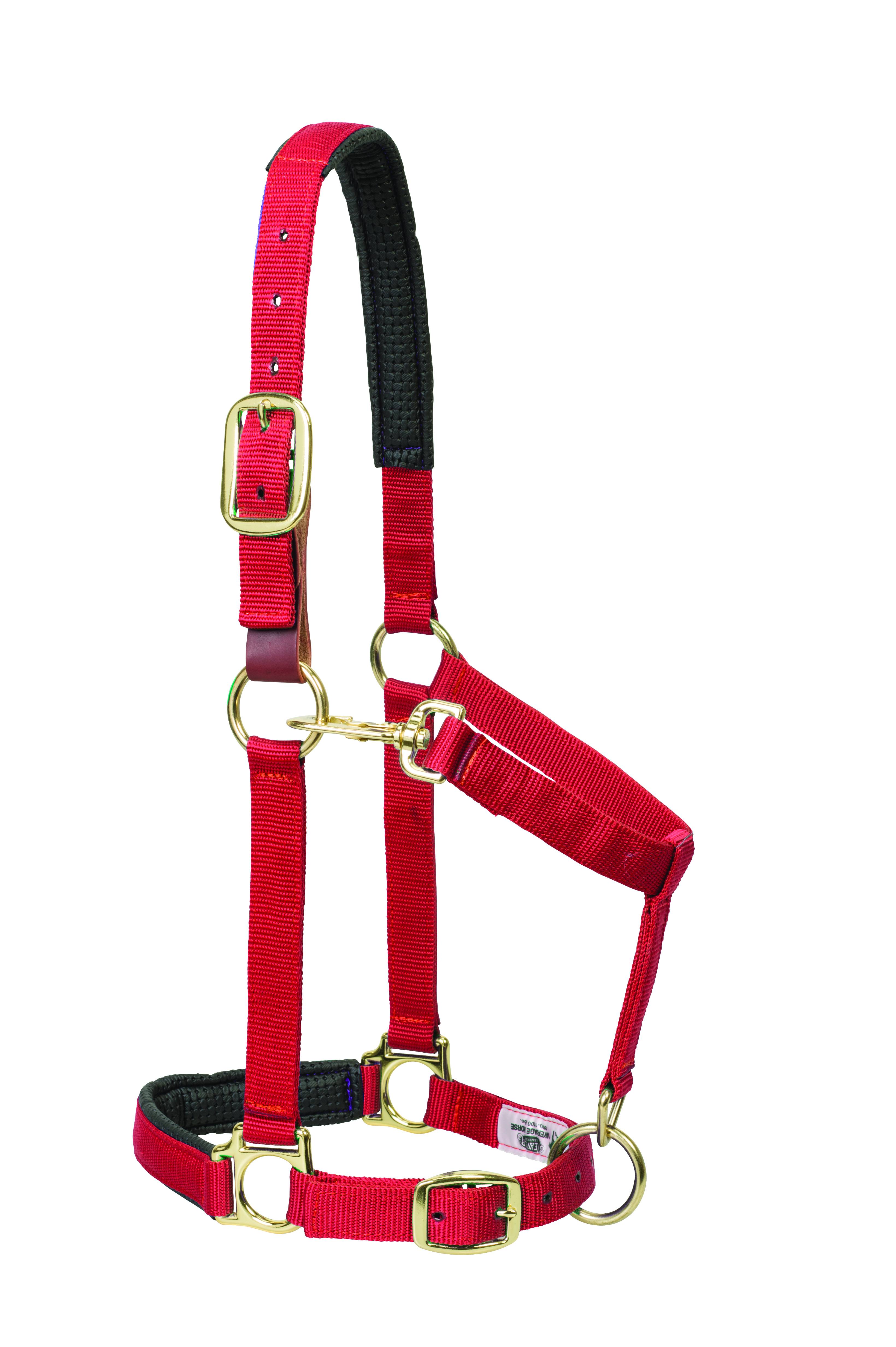 Weaver Solid Color Padded Breakaway Adjustable Chin and Throat Snap Halter