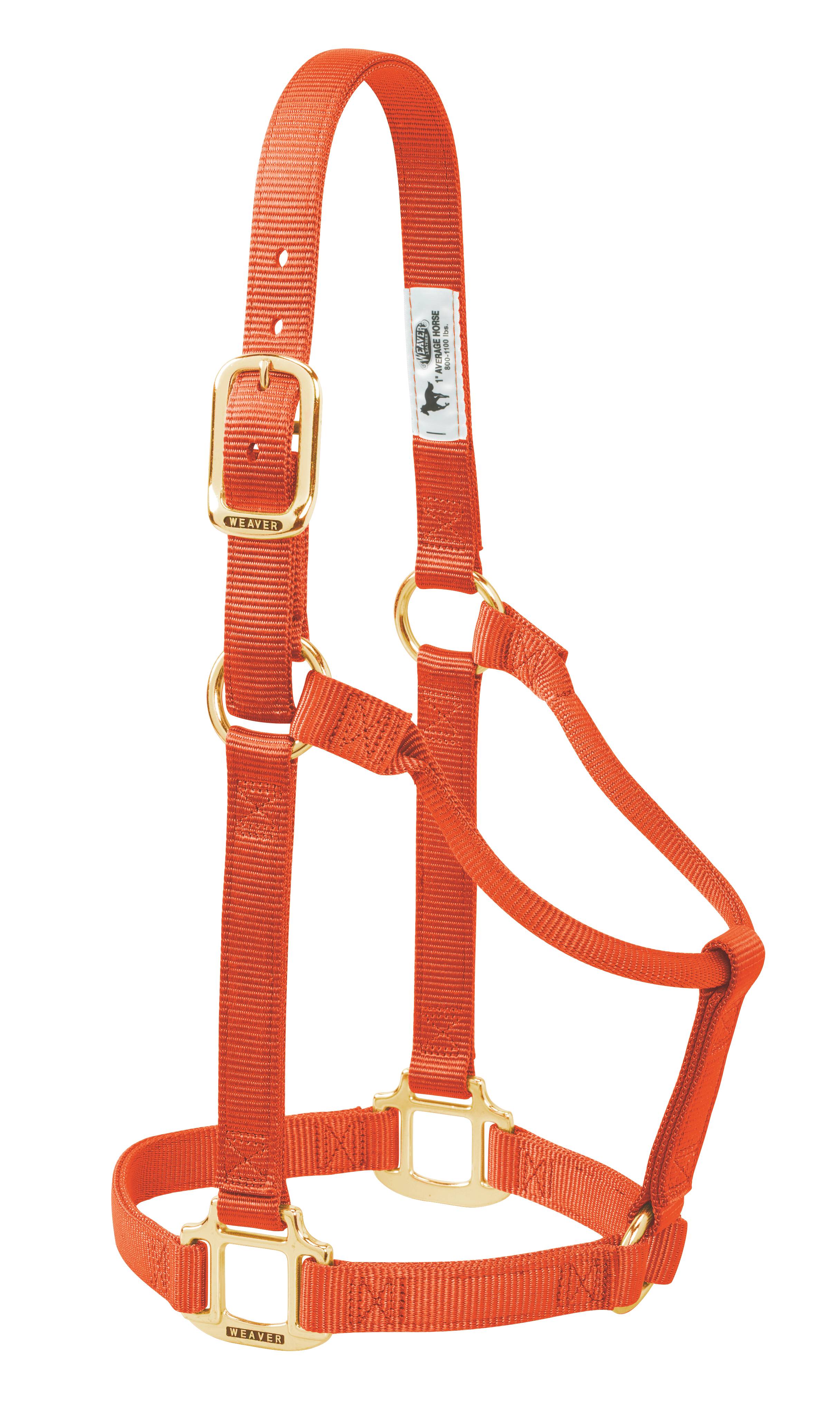 Weaver Leather Original Non-Adjustable 1 Nylon Halter