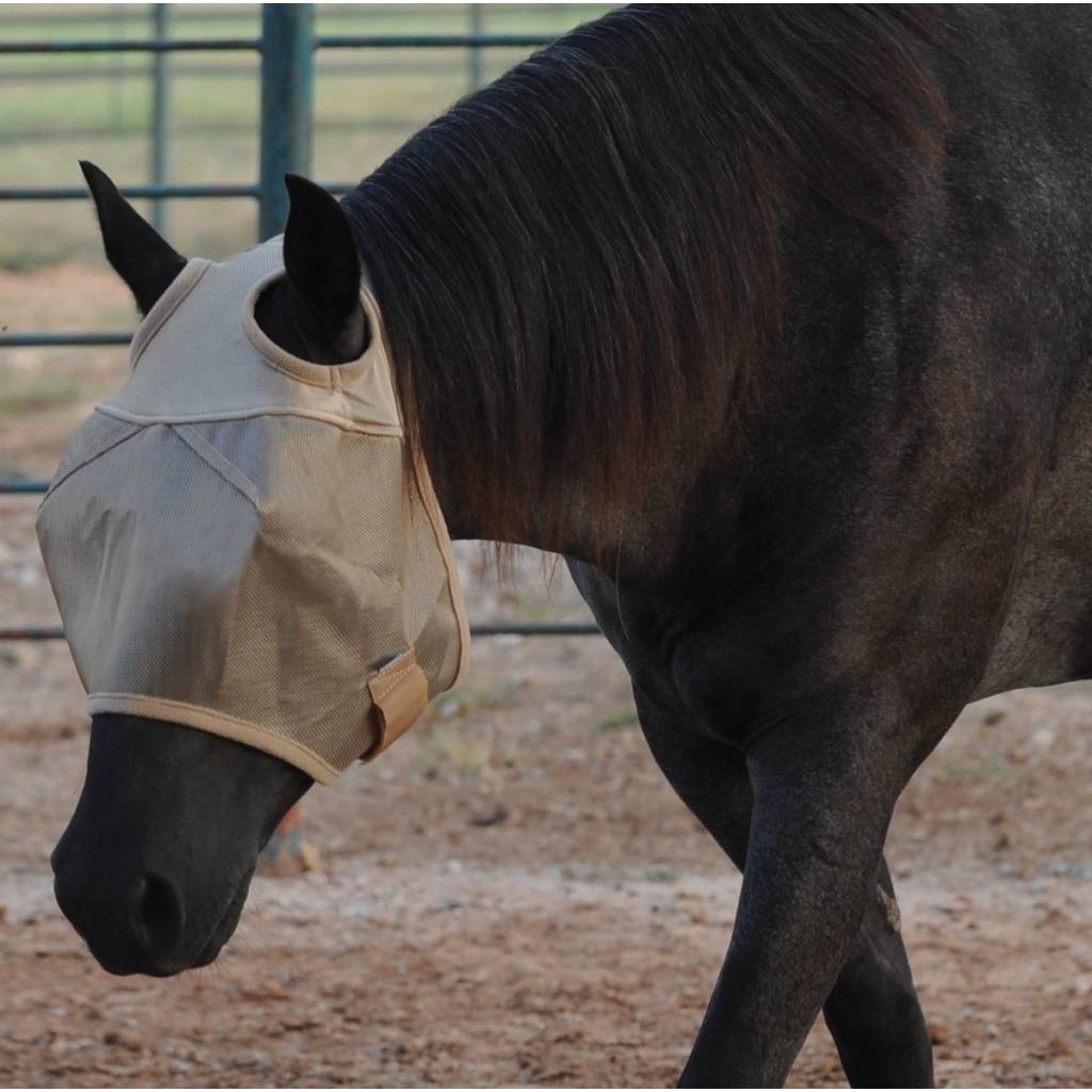 Cashel Econo Fly Mask