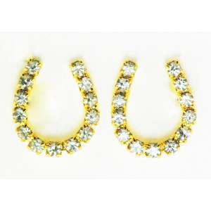 Western Edge Crystal Rhinestone Horseshoe Earrings