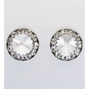 Western Edge Swarovski Rivolli Crystal Stones Earrings