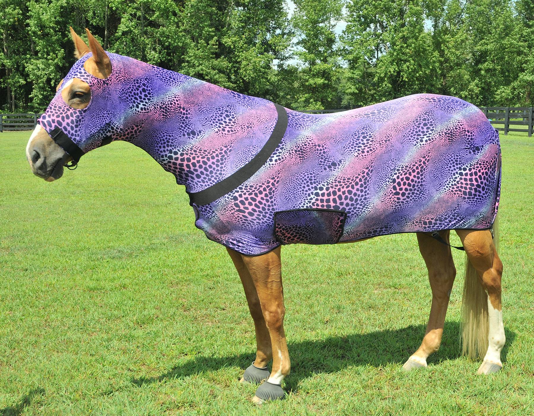 Horse Stretch Hood Face and Neck Cover Full Separating Zip in X-LARGE PURPLE
